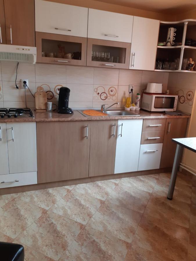 Vila Georgeta Зэрнешти Экстерьер фото