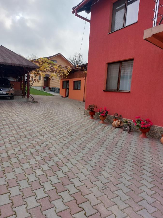 Vila Georgeta Зэрнешти Экстерьер фото